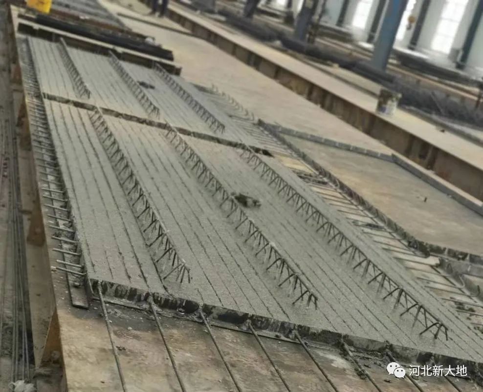 20230627168785004842.jpg 20230627168785004842.jpg