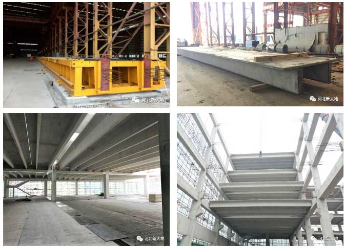 20231024169811272445.jpg 20230828169318820232.jpg