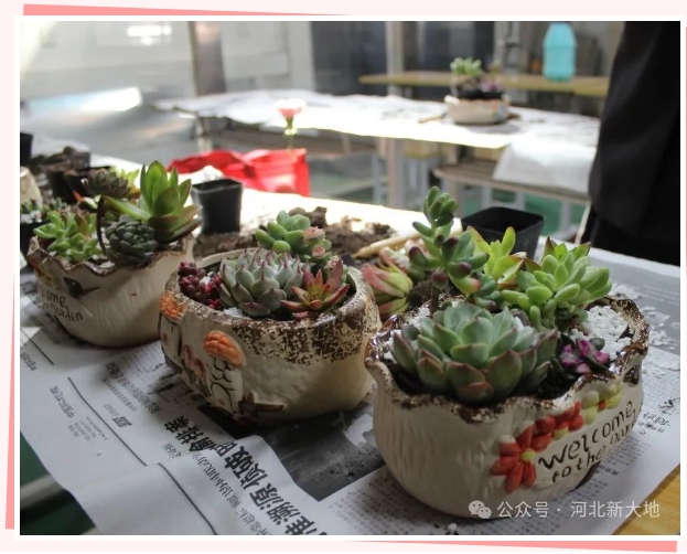 20240323171115666126.png 微信截圖_20240323091501.png