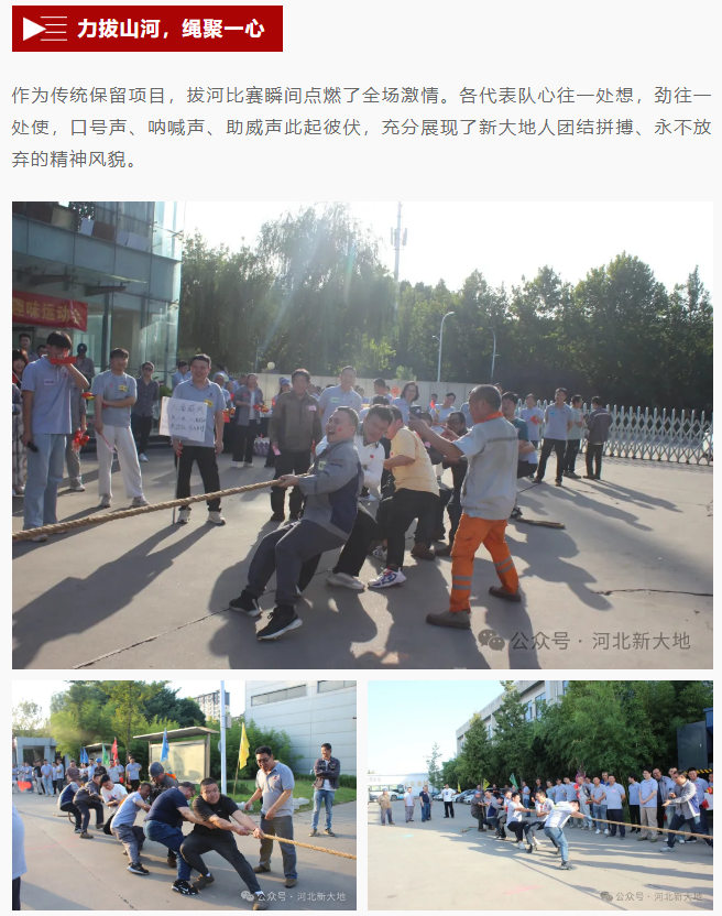 20260103176741833237.png image.png