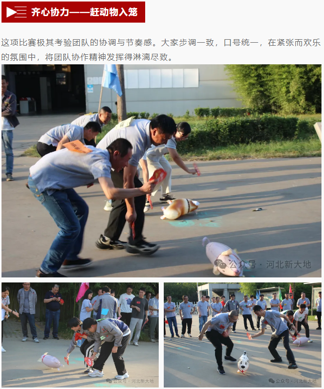 20260103176741839383.png image.png